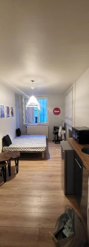 Studio Du Centre Ville Limoges Eksteriør billede